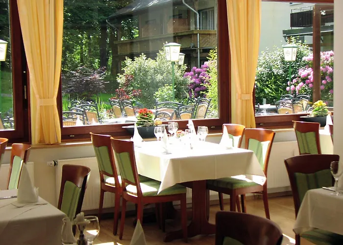 Hotel Waldhotel Kurfuerst 3*